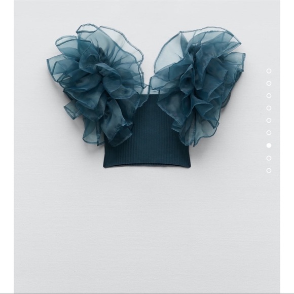 Zara Contrasting Organza Top - Picture 5 of 9